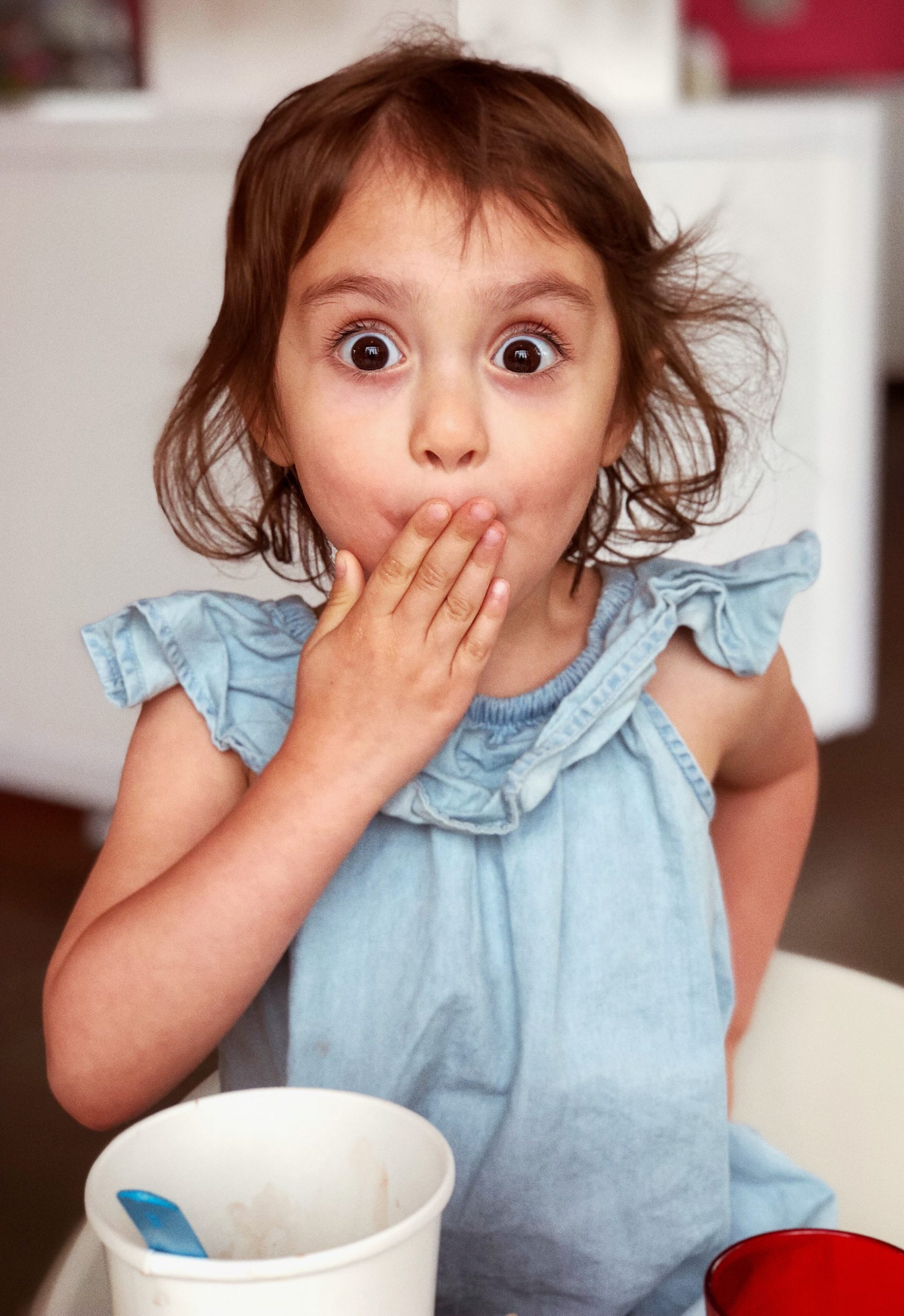 16 Best Toys And Gifts For 4 Year Old Girls GiftCollector